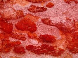 Texture Of Red Stone In The Garden photo