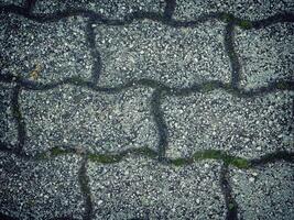 textura de piedra oscura en el jardín foto