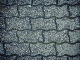 Dark Stone Texture In The Garden photo