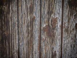 textura de madera oscura en el jardín foto