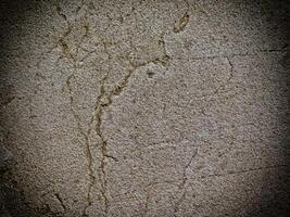 Dark Marble Texture In The Garden photo