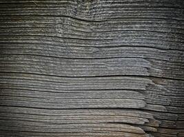 Dark Wood Texture In The Garden photo
