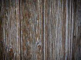 Dark Wood Texture In The Garden photo