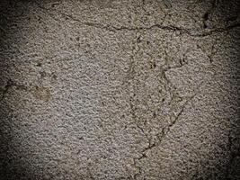 Dark Marble Texture In The Garden photo