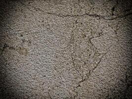 Dark Marble Texture In The Garden photo