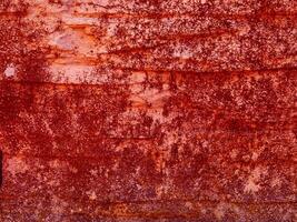 textura de piedra roja en el jardín foto