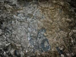 Outdoor stone texture photo