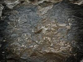 Outdoor stone texture photo