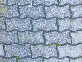 Stone Texture In The Garden photo
