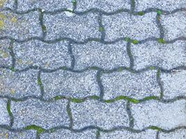 Stone Texture In The Garden photo