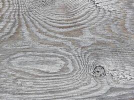 Wood Texture In The Garden photo