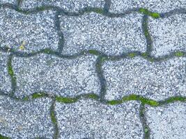 textura de piedra en el jardín foto