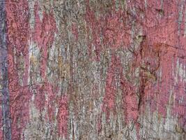 textura de madera al aire libre en el jardín foto