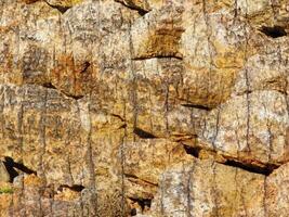 Outdoor stone texture photo