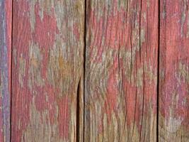 Wood Texture Outdoors In The Garden photo