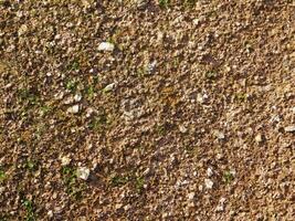 Ground Texture In The Garden photo