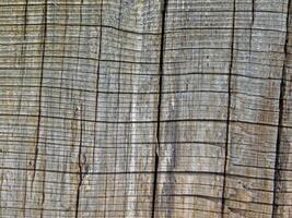 Wood Texture Outdoors In The Garden photo