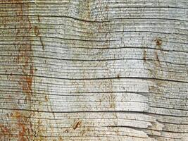 textura de madera al aire libre en el jardín foto