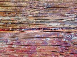 textura de madera al aire libre en el jardín foto