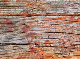 textura de madera al aire libre en el jardín foto