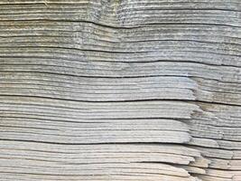 textura de madera al aire libre en el jardín foto