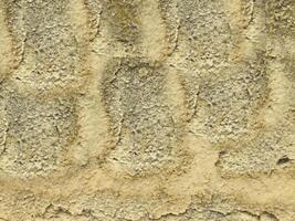 Outdoor stone texture photo