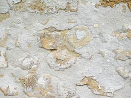 textura de piedra al aire libre en el jardín foto