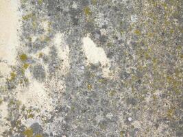 textura de piedra al aire libre en el jardín foto