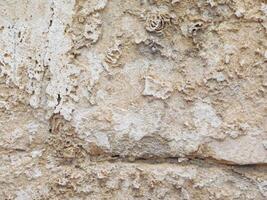 Stone Texture Outdoors In The Garden photo