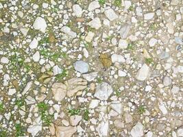 textura de piedra al aire libre en el jardín foto