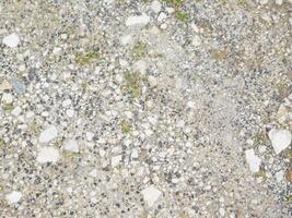 Stone Texture Outdoors In The Garden photo