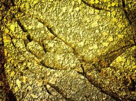 Texture Of Yellow Stone In The Garden photo