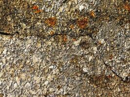 Outdoor stone texture photo