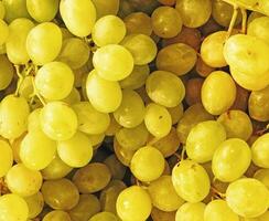 texture of grapes in the kitchen photo