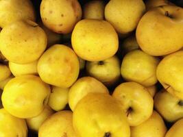 Apples in the kitchen photo