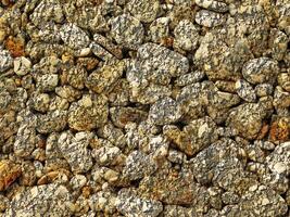 Outdoor stone texture photo