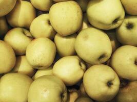 Apples in the kitchen photo