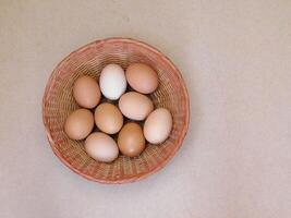 Eggs in the kitchen photo