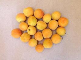 Apricots in the kitchen photo