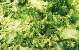 Salad texture in the kitchen photo