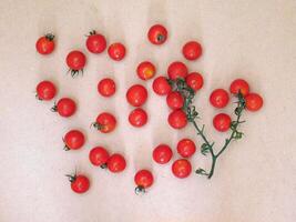 Tomatoes in the kitchen photo