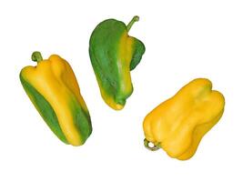 Peppers In The Kitchen On White Background photo