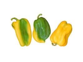 Peppers In The Kitchen On White Background photo