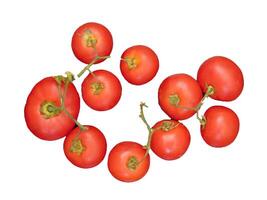 Tomatoes In The Kitchen On White Background photo