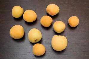 Apricots in the kitchen photo