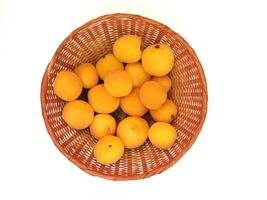 Apricots in the kitchen photo