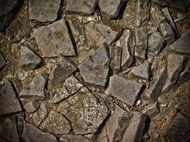 Dark Stone Texture In The Garden photo