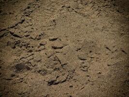 Texture Of Dark Sand At The Sea photo