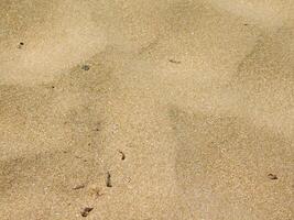 Sand texture outdoor photo