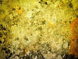 Texture Of Yellow Stone In The Garden photo